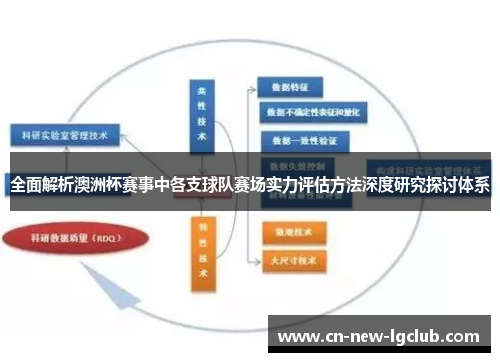 全面解析澳洲杯赛事中各支球队赛场实力评估方法深度研究探讨体系