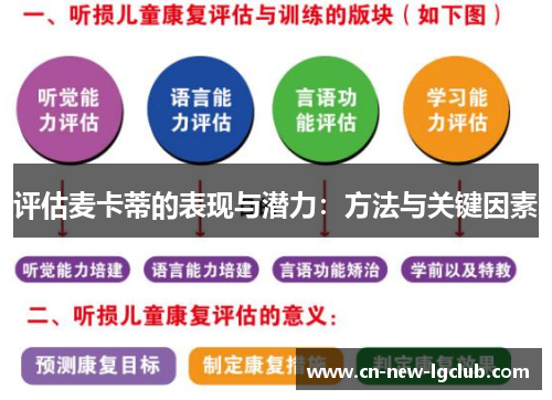 评估麦卡蒂的表现与潜力：方法与关键因素