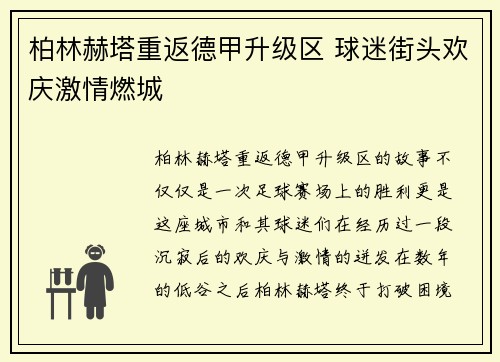 柏林赫塔重返德甲升级区 球迷街头欢庆激情燃城